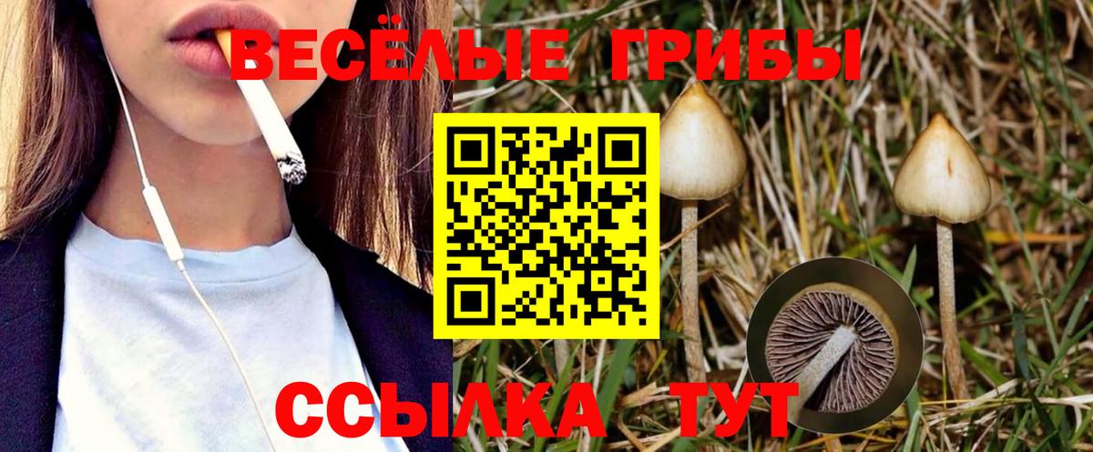 Дубна  Псилоцибиновые грибы Magic Shrooms  Вход с VPN 