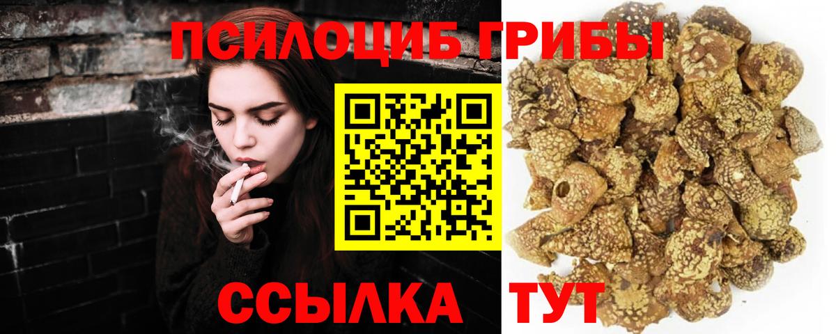 Галлюциногенные грибы мицелий Дубна